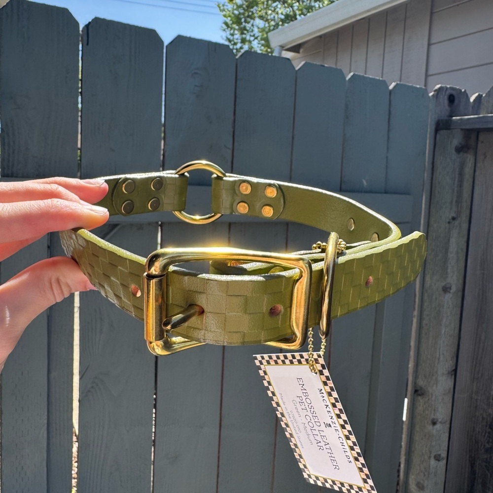 Brand New Mackenzie-Childs Green Leather Dog Collar with Gold Buckle size Medium